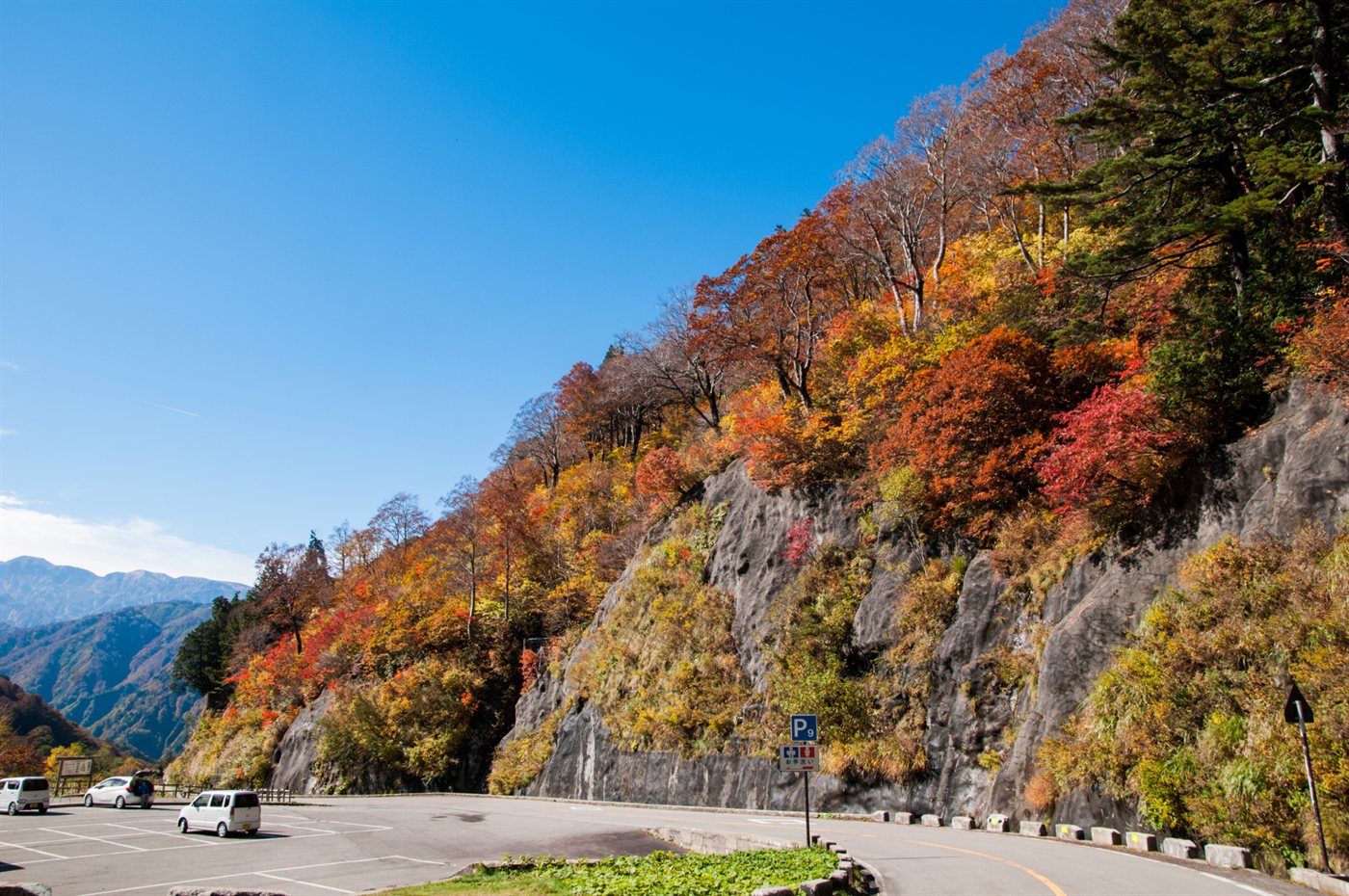 白山白川郷ホワイトロード沿いの山肌が赤や黄色に色づいた紅葉