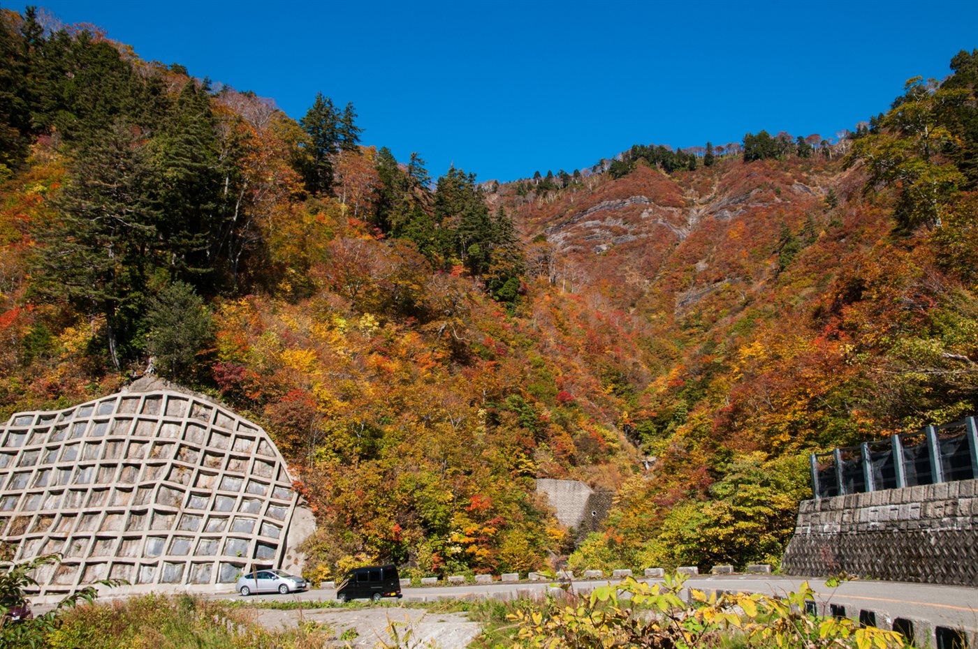 紅葉した山あいを通る白山白川郷ホワイトロードとトンネル