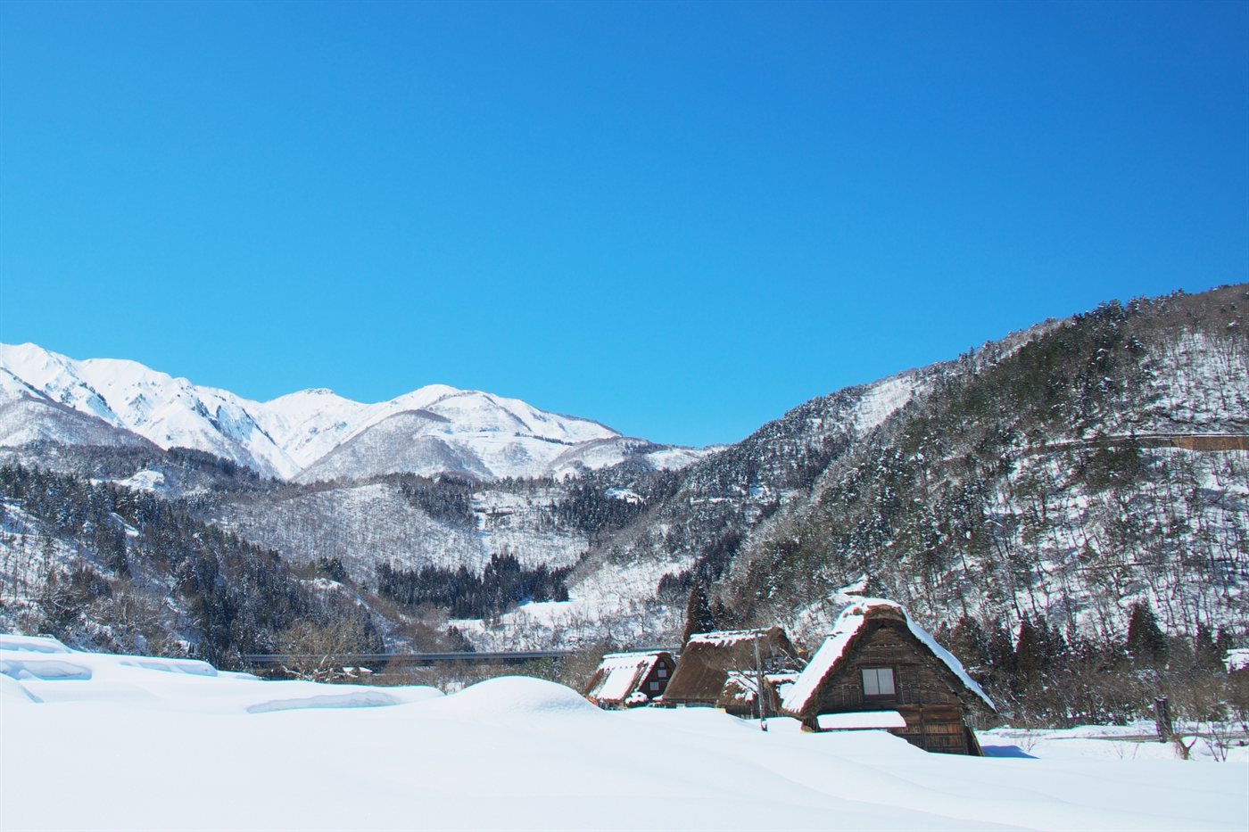 雪に覆われた昼間の白川郷合掌造り集落