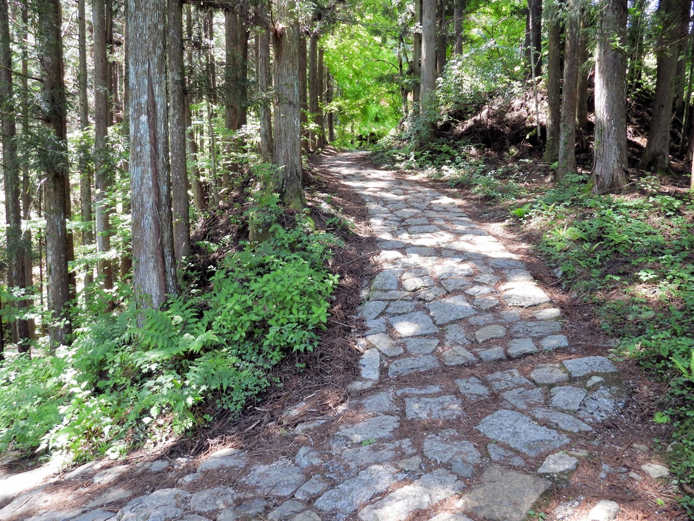 杉林の中を続く旧中山道の石畳の道